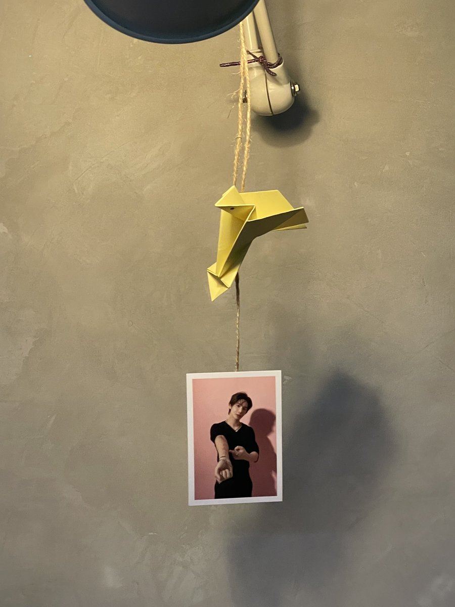 五✰ pola tweet media