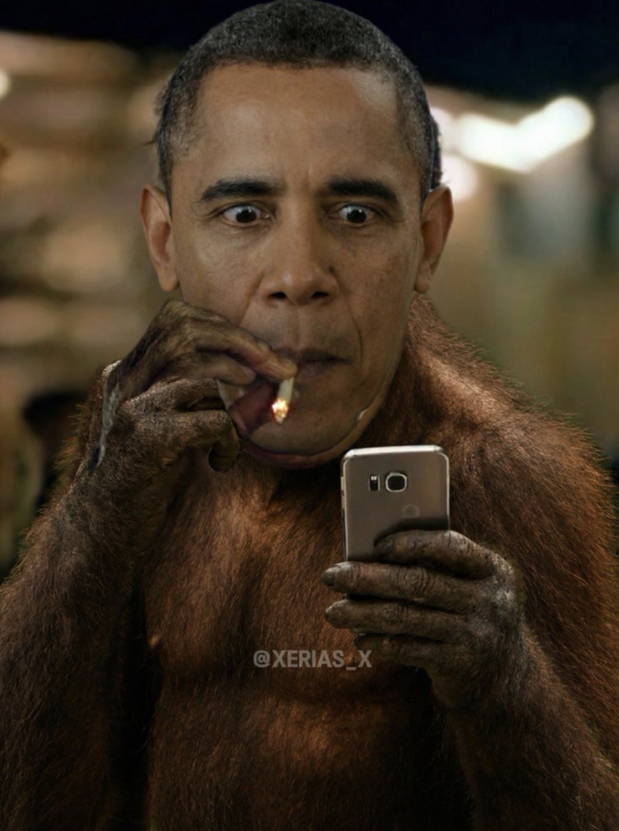 Obama checking the X feed today;