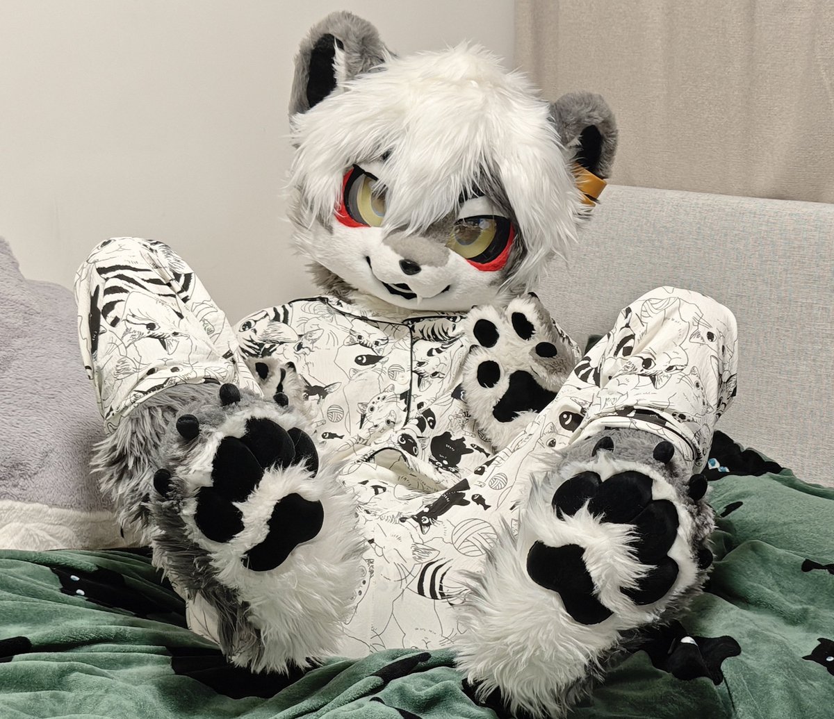 北参小虎 tweet media