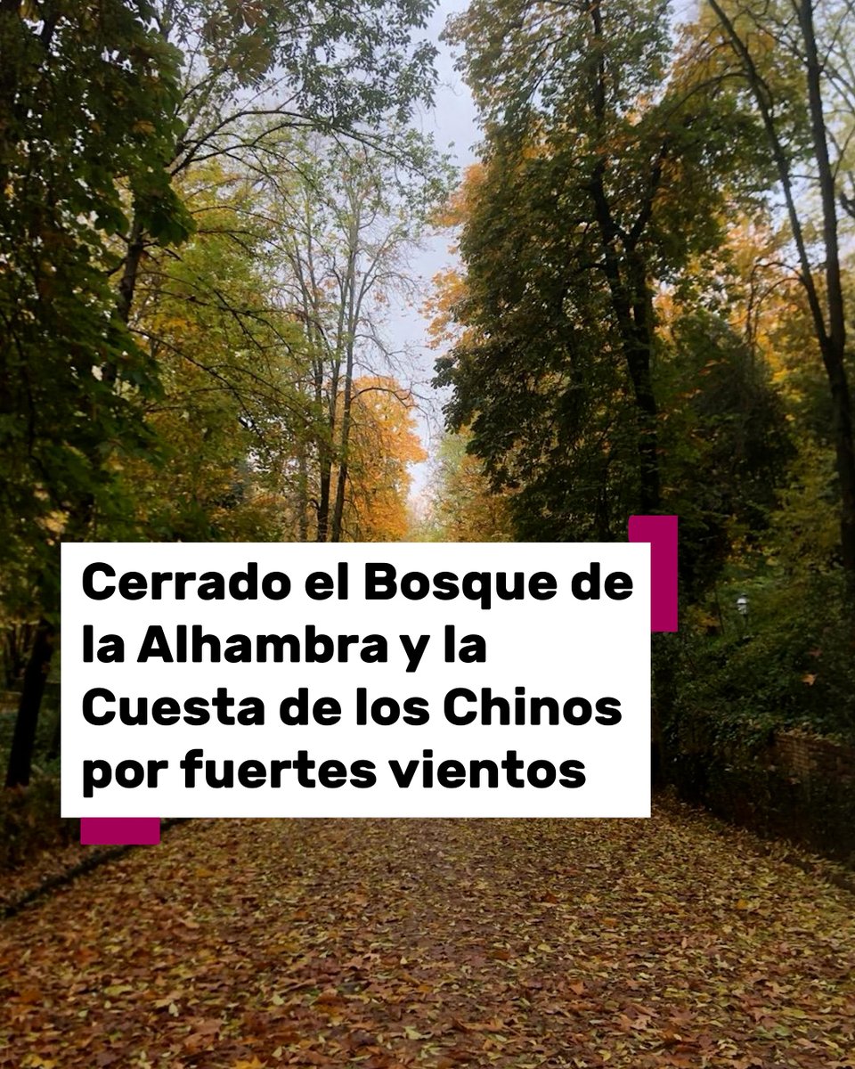 101tvGranada's tweet photo. 🫸Cerrados el Bosque de Gomérez y la Cuesta de los Chinos este sábado por fuertes rachas de viento.
📲Más información en https://t.co/n9cloVmYmZ
#Alhambra #Vientos #Granada #Cerrados #Cuesta #Chinos https://t.co/dtWHOnNadv