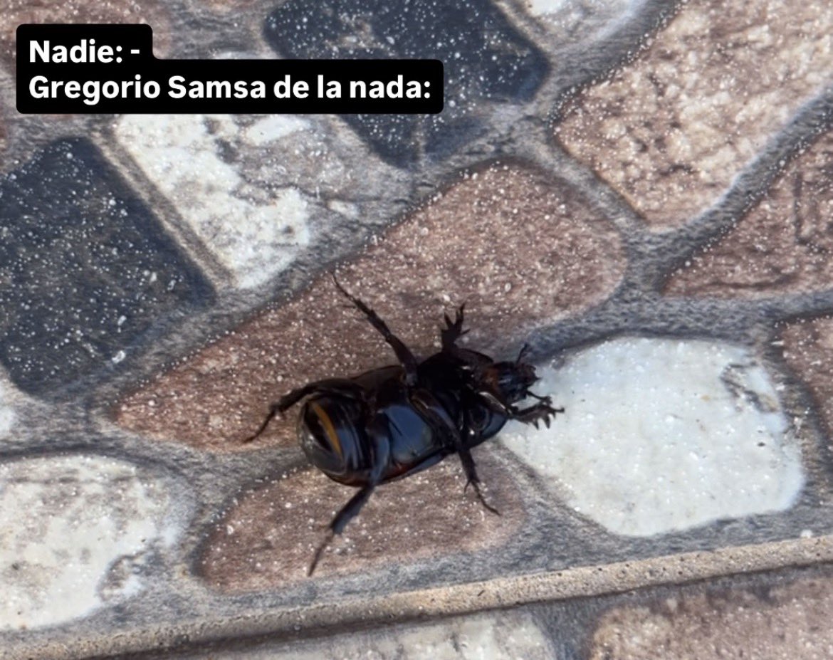 El jefe de Gregorio: esas cosas se avisan con tiempo