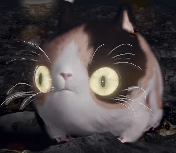 Kuniculus🐇🫟 | Bunny Goo Maid tweet media