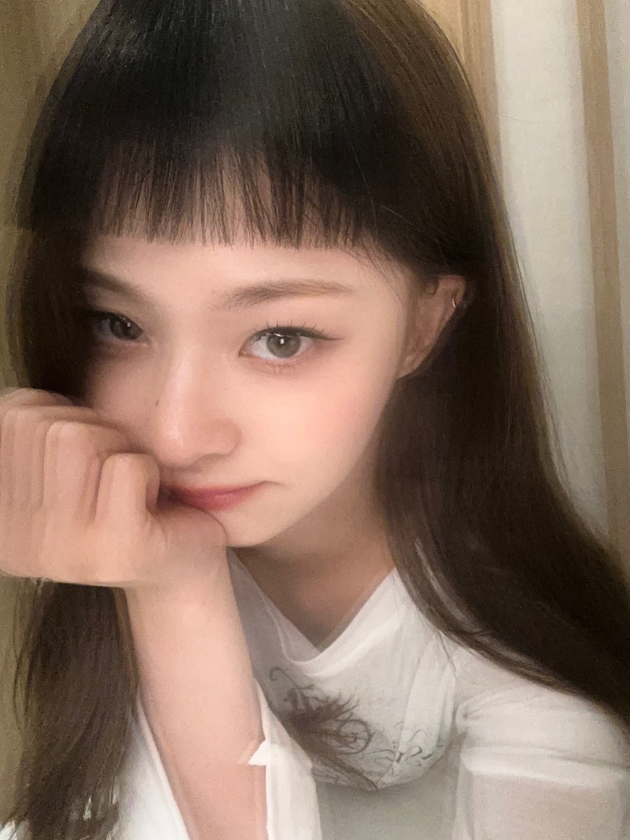 movie601's tweet image. 서울 꼬양이랑 시골 꼬양이