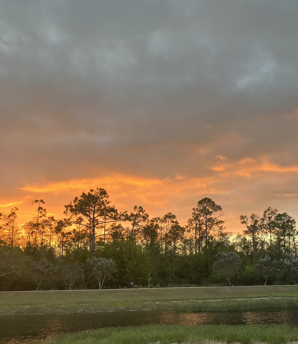 Hurry is relative.

I move when something has weight, not urgency.

Patience and stillness allow for powerful integration.

Practice dying. Another day will always come.

#Stillness #InnerWork