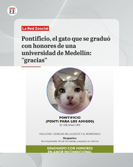 <a href="/elespectador/">El Espectador</a> "Pontificio" es Presidenciable 🙋😼