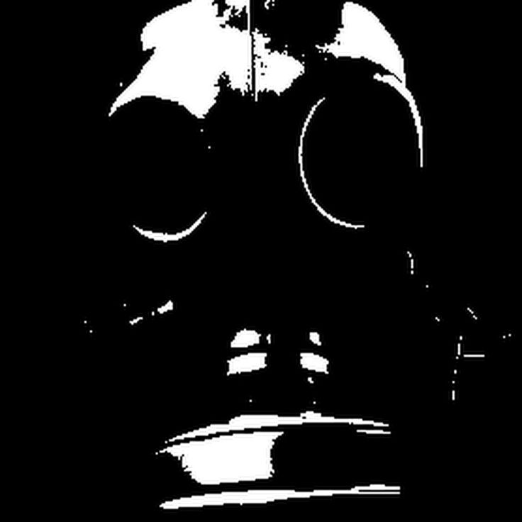 BruNtk🪻 tweet media