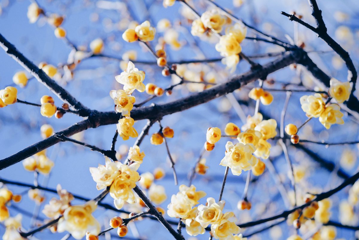 espr___'s tweet image. 