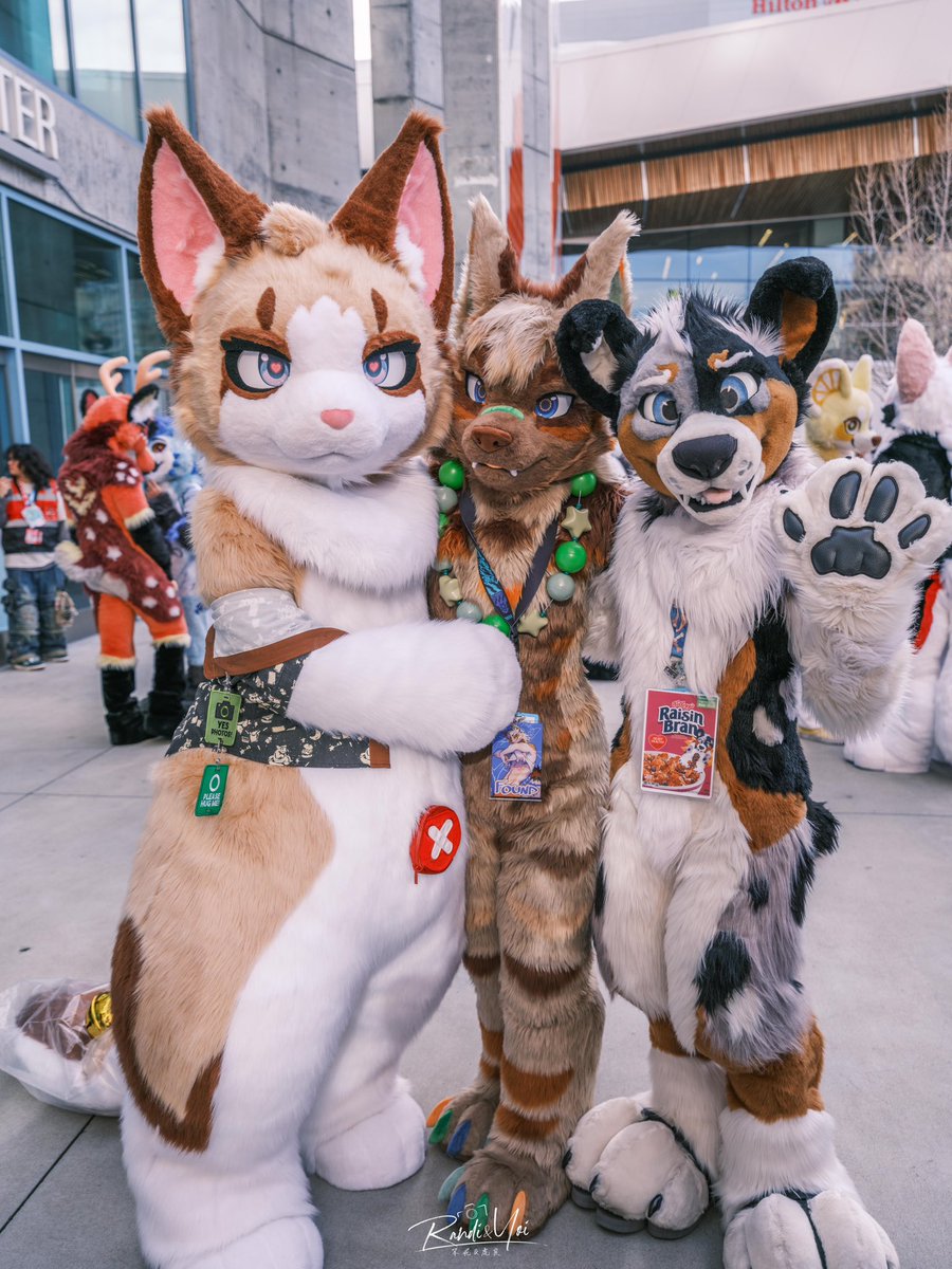 Brandog🐶🔜FWA tweet media