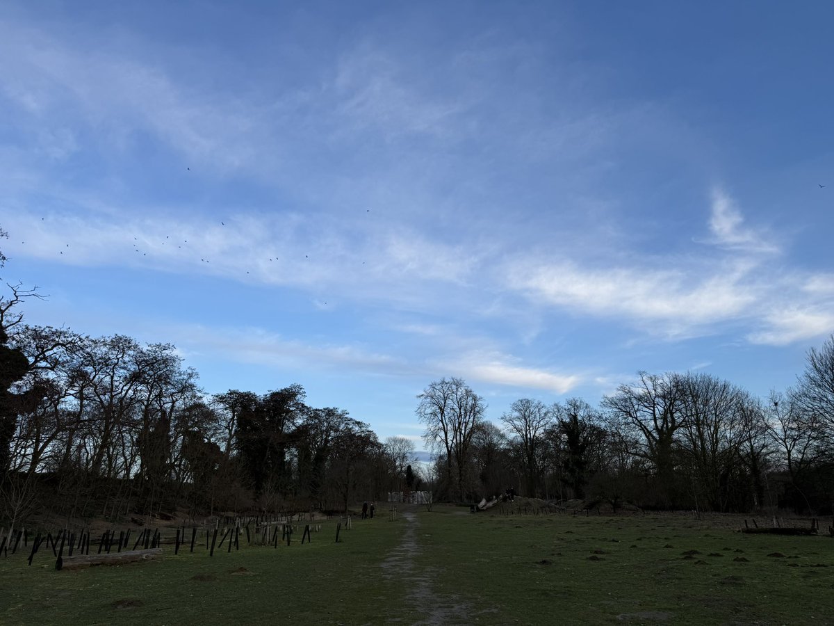 Stregalina's tweet photo. #vrtweer Heverlee, 17u14 https://t.co/Af9XdG0ivQ