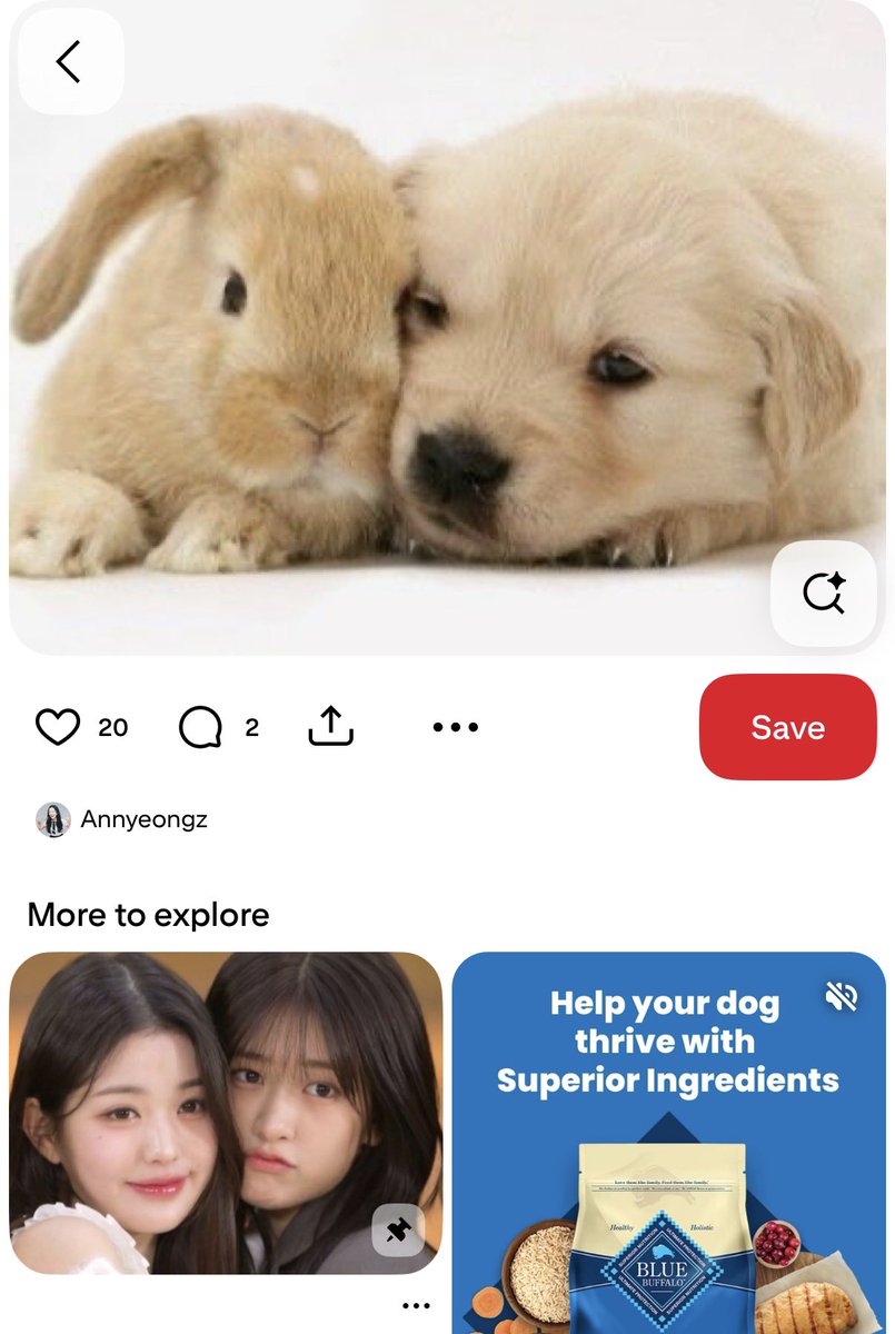 amazing things happening on pinterest