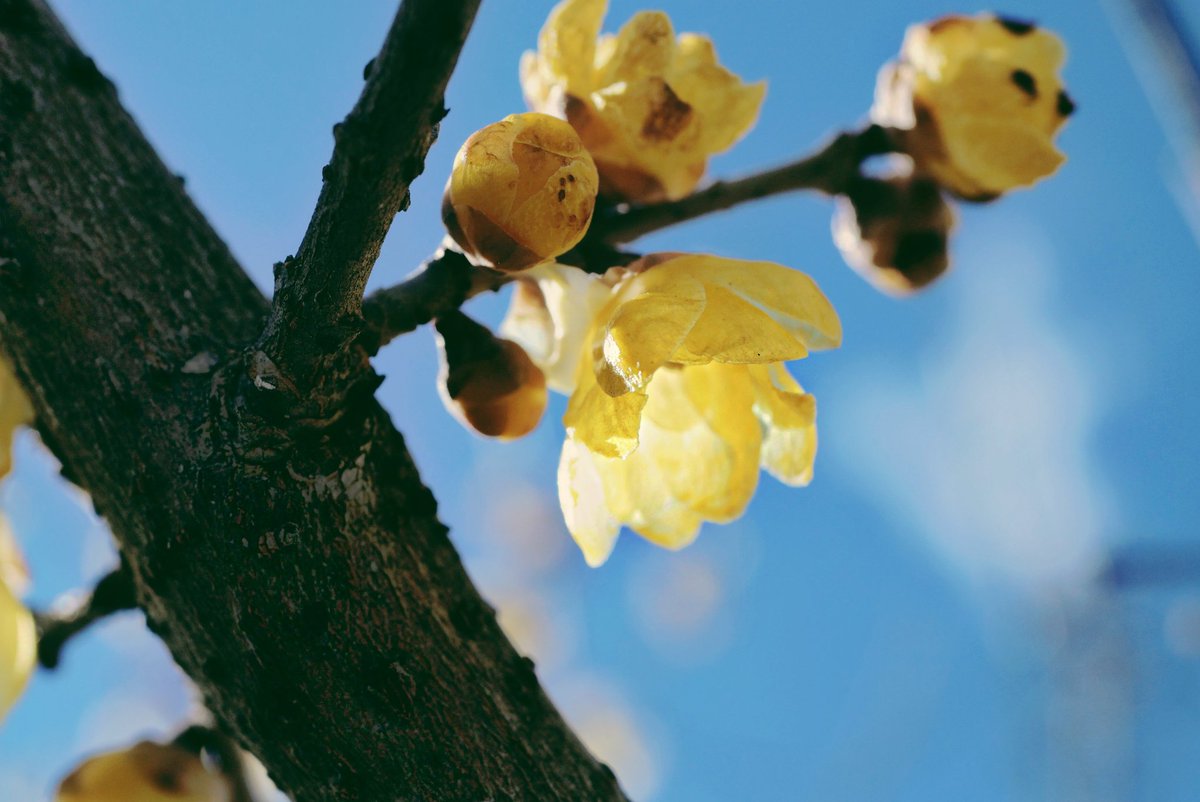 espr___'s tweet image. きっと運命が二人の
味方をしてくれるでしょう