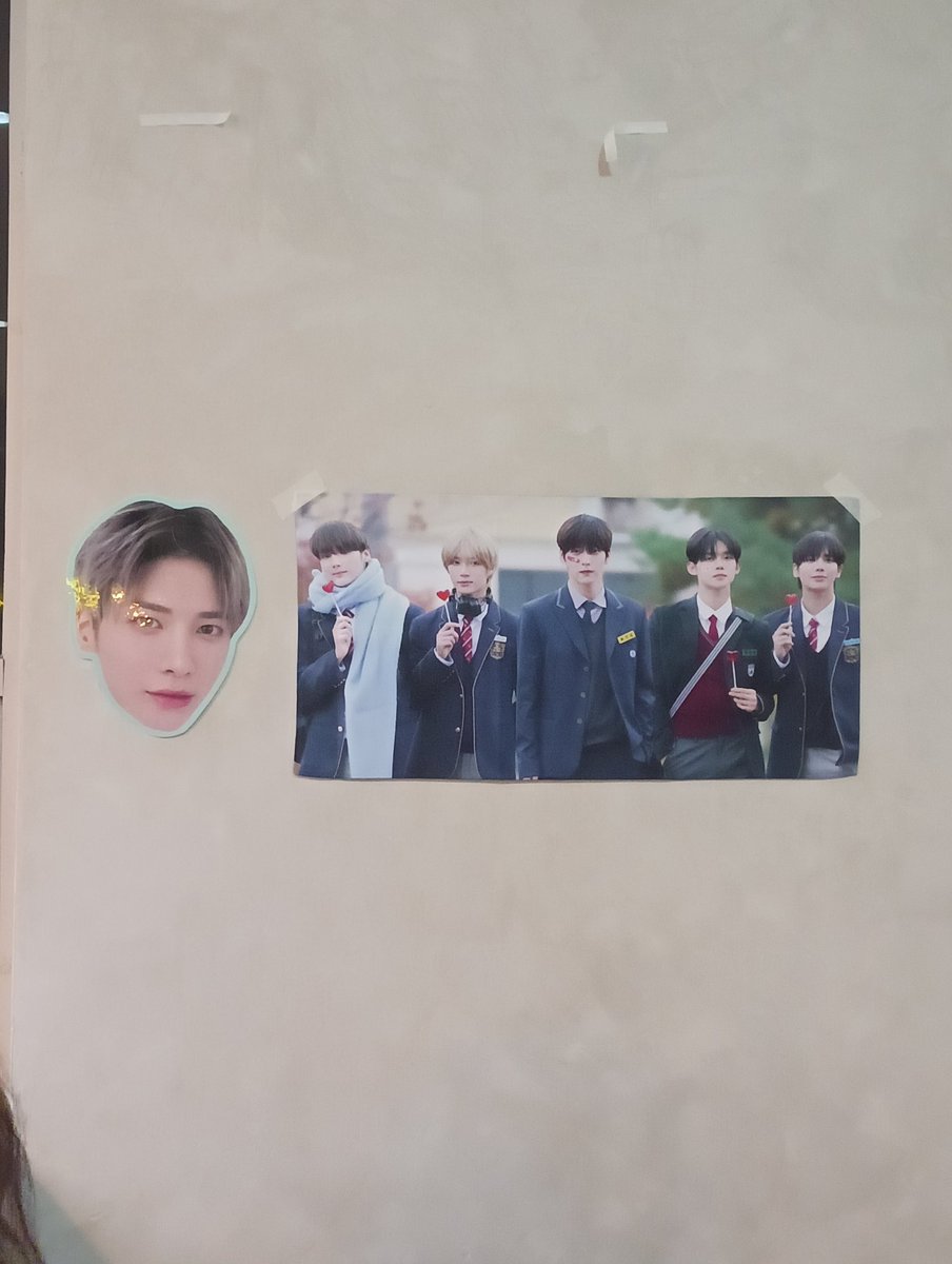 noona_catz tweet media