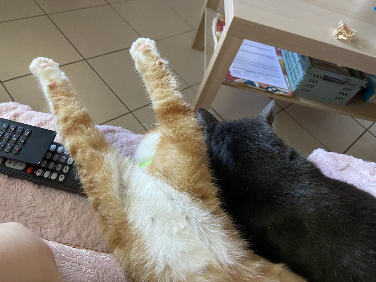 Pauline the heroic ☥ tweet media