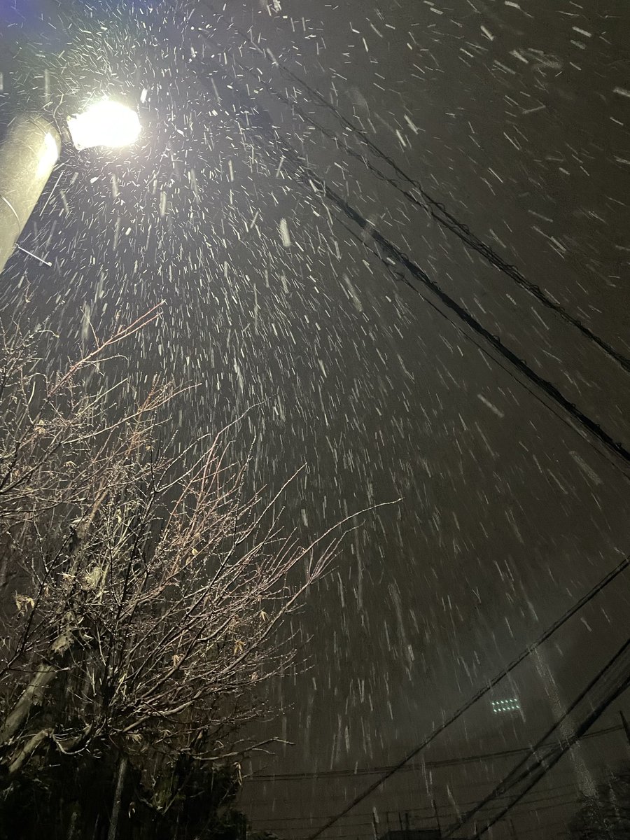 1時間前に撮影。今も❄️雪降ってるの？寒くて外見に行けない💦 #雪