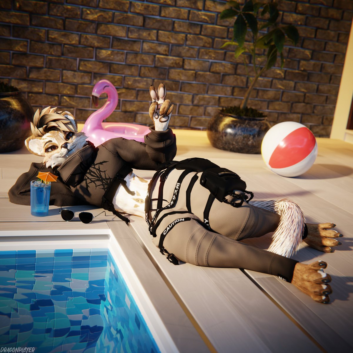 DragonPlayer tweet media