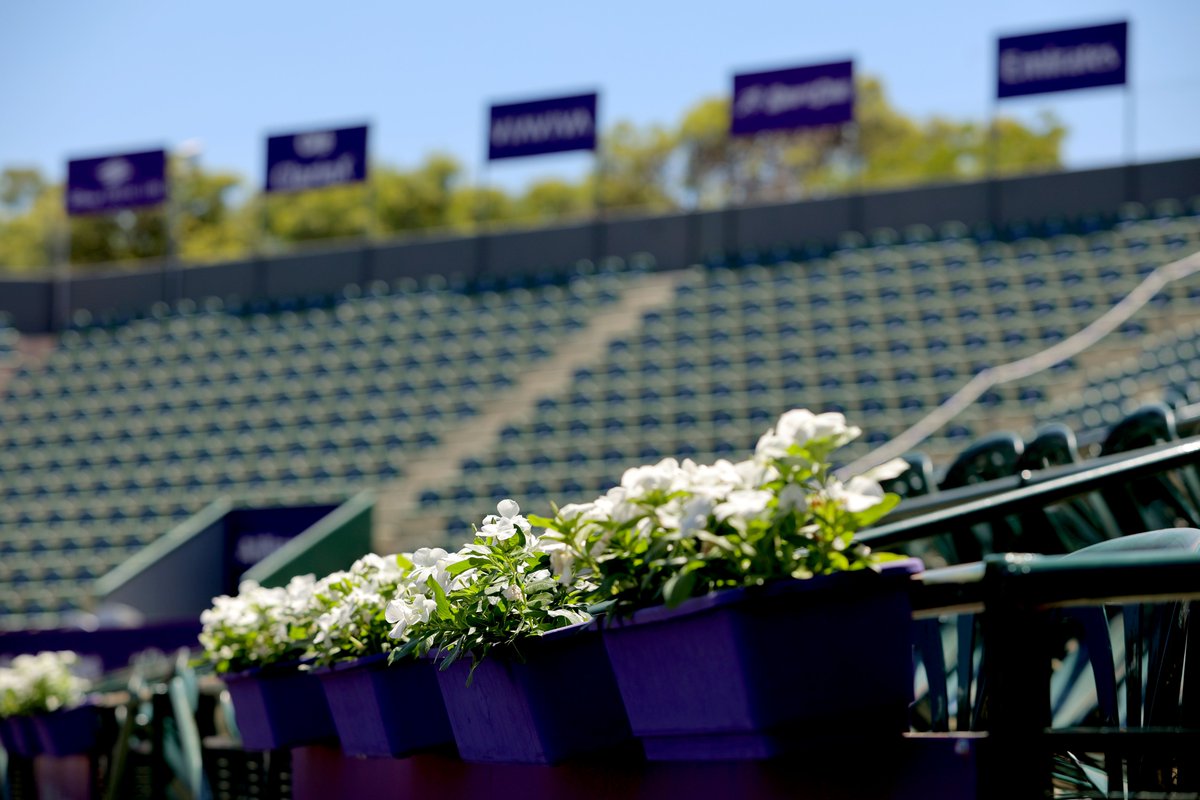 iebmasargopen's tweet photo. 📍 Court Central Guillermo Vilas 🏟️
✅ Estamos listos para el comienzo de la 26° edición del IEB+ Argentina Open 🏆 https://t.co/JrUkG3AeIJ