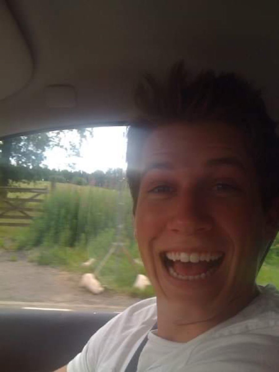 Vamos acalmar os corações com eles dois tão nenéns 🥹