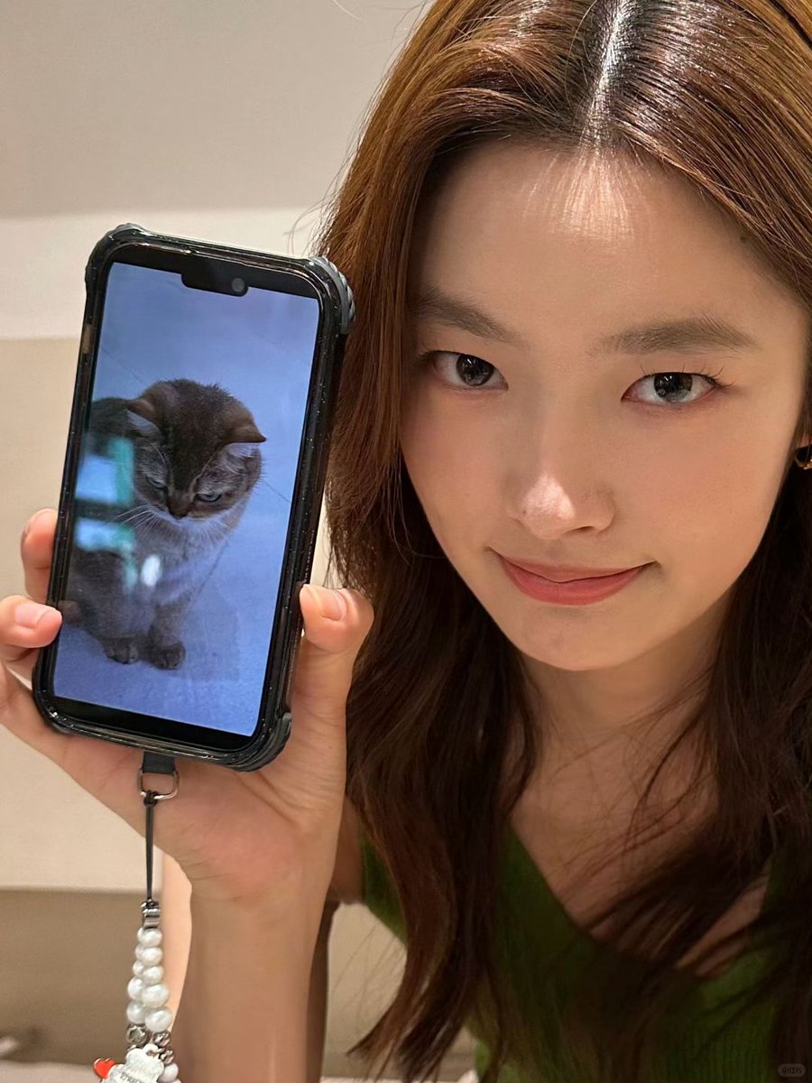 ruohansky's tweet image. 📸