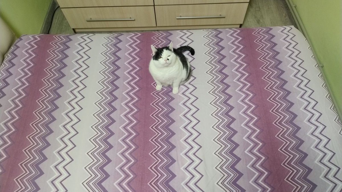 ПідйомПеревертень tweet media