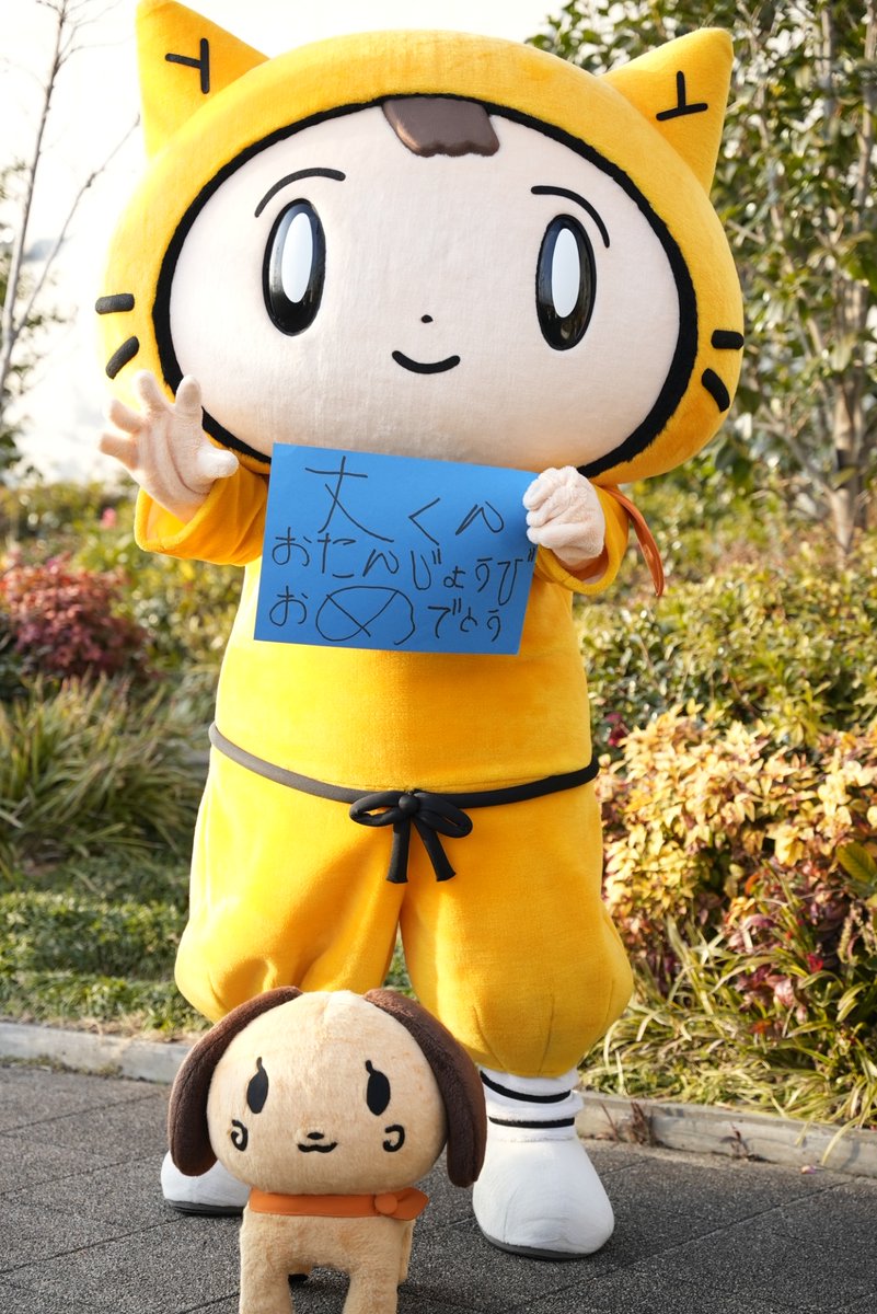 シノビー＠読売テレビ【公式】🍙 tweet media