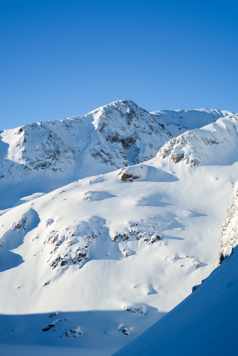 Buscant la millor neu i trobant-la! Pel pati de Llauset!