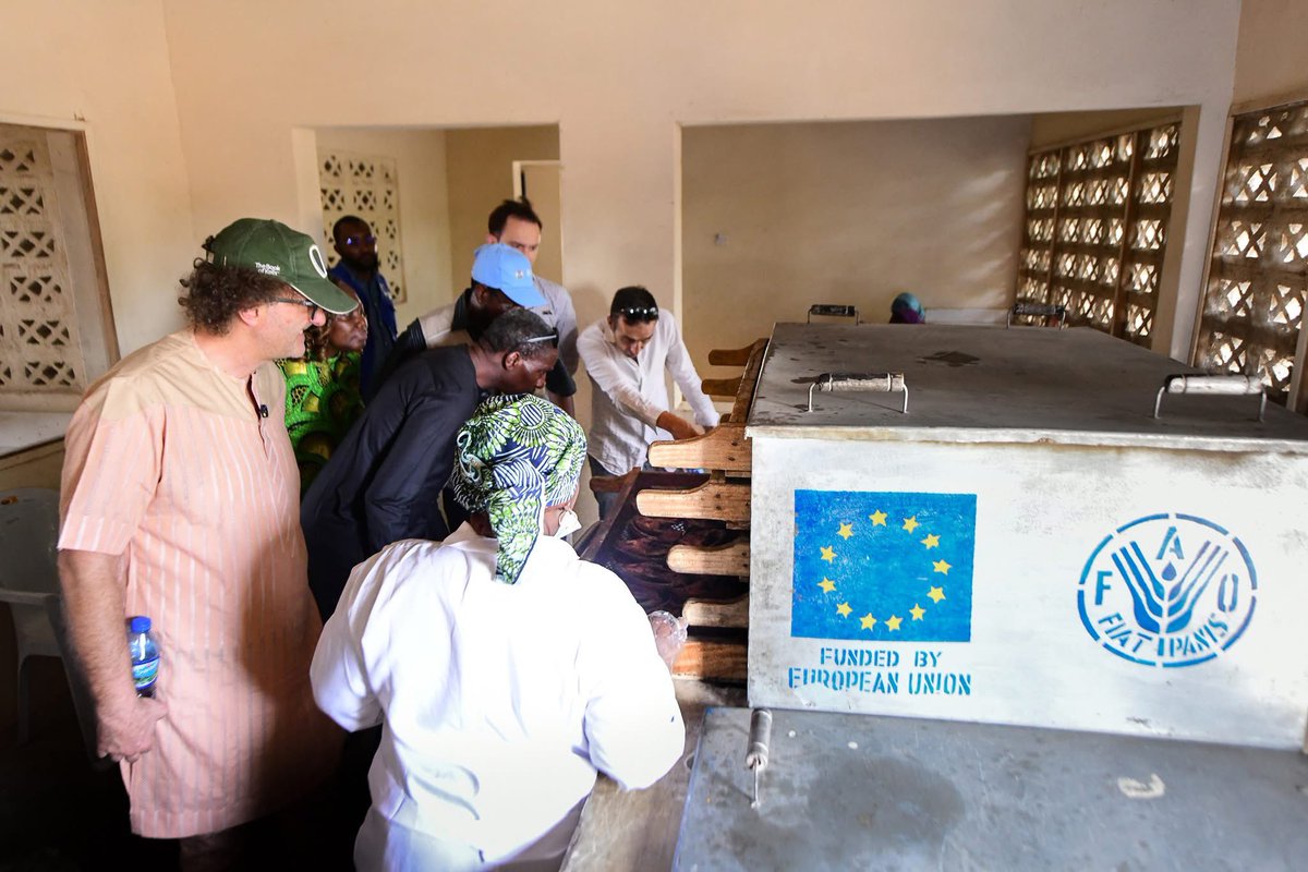 EUinNigeria's tweet photo. Since 2018, EU investments in Gongulong, Borno State, have proven sustainable and transformative. Through EU-funded, @FAO-supported aquaculture, women’s fish processing &amp; vegetable production, many have moved to owning businesses.

#EUinNigeria #TeamEurope #GlobalGateway https://t.co/VbPULZP2s2