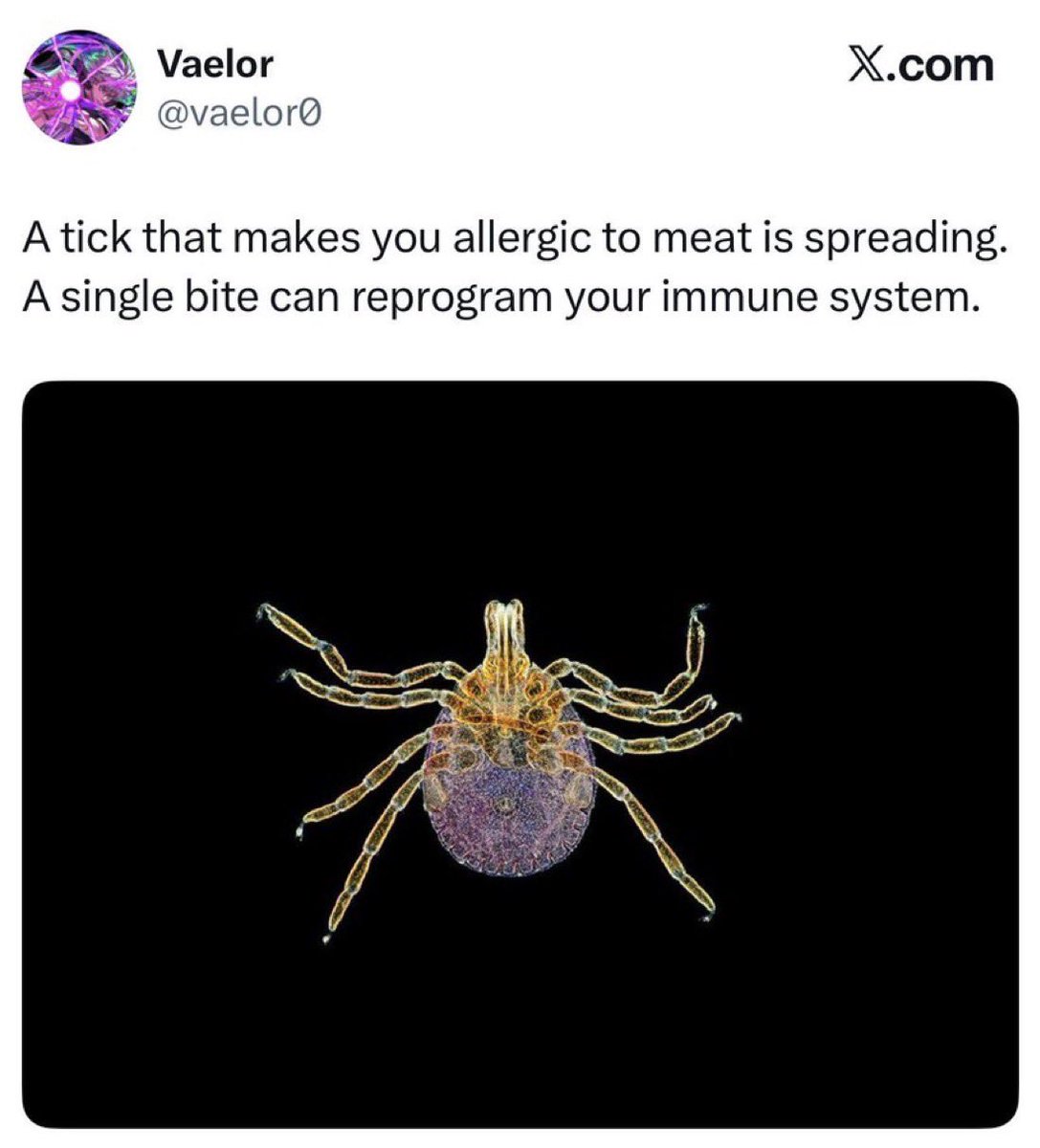 Alex Jones tweet media