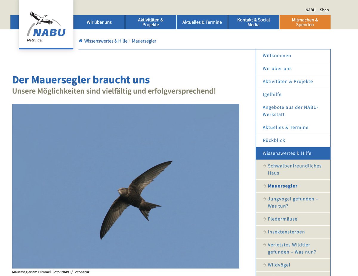 Joelle Rautenberg tweet media
