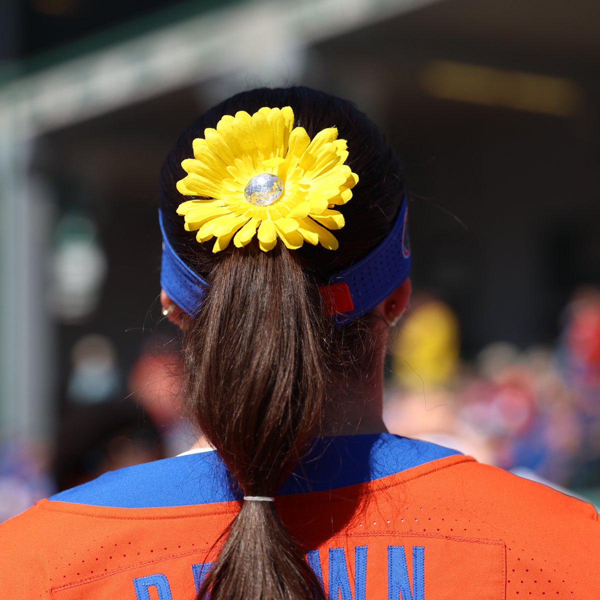 Gators Softball tweet media