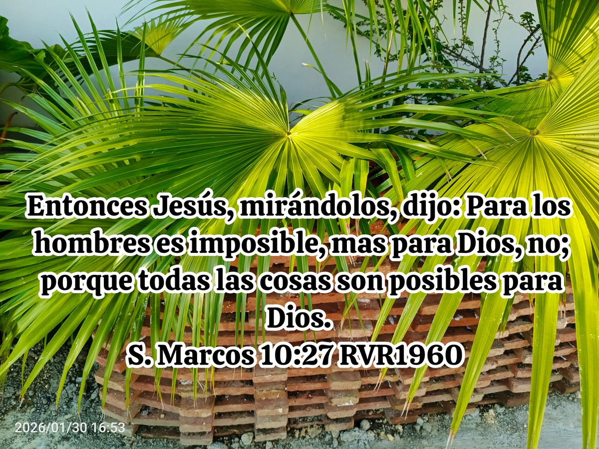 rd_sano's tweet photo. Jeremías 32:17 RVR1960
[17] ¡Oh Señor Jehová! he aquí que tú hiciste el cielo y la tierra con tu gran poder,

S. Marcos 10:27 RVR1960
[27] Entonces Jesús,
 mirándolos, dijo: Para los hombres es imposible, mas para Dios, no; porque todas las cosas son posibles para Dios. https://t.co/sbk9QiD4fJ