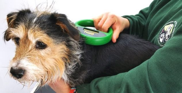 VetsGetScanning's tweet image. PLEASE SIGN THIS IMPORTANT #PETITION asking the #Government to complete the single lookup point to check #microchip registrations, linking the 24 independent microchip databases for use by animal authorities : petition.parliament.uk/petitions/7486…

Vet nurse experience: “Some of the companies