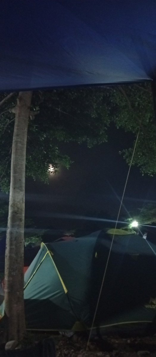 Enteroba's tweet image. 