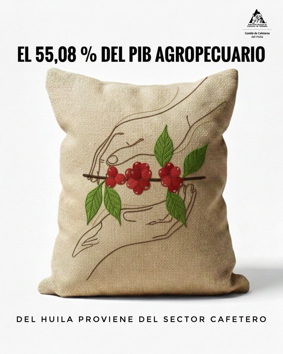 ☕📢 El café vuelve a ser protagonista en Colombia.

Hoy es una buena noticia para el país y, en el Huila, se siente con más fuerza en el campo, en la economía y en el trabajo de nuestras miles de familias caficultoras.