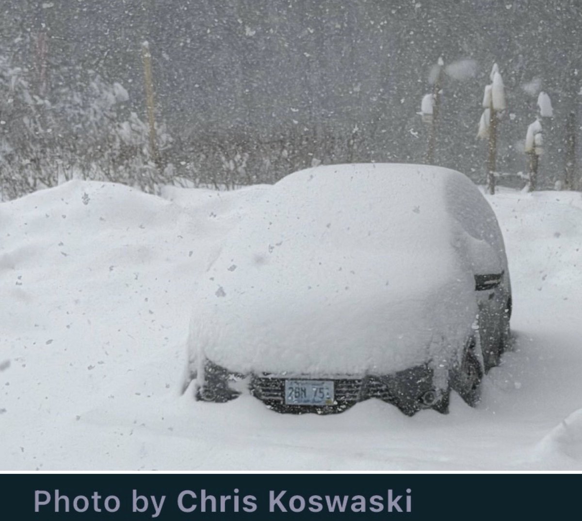 eweather tweet media