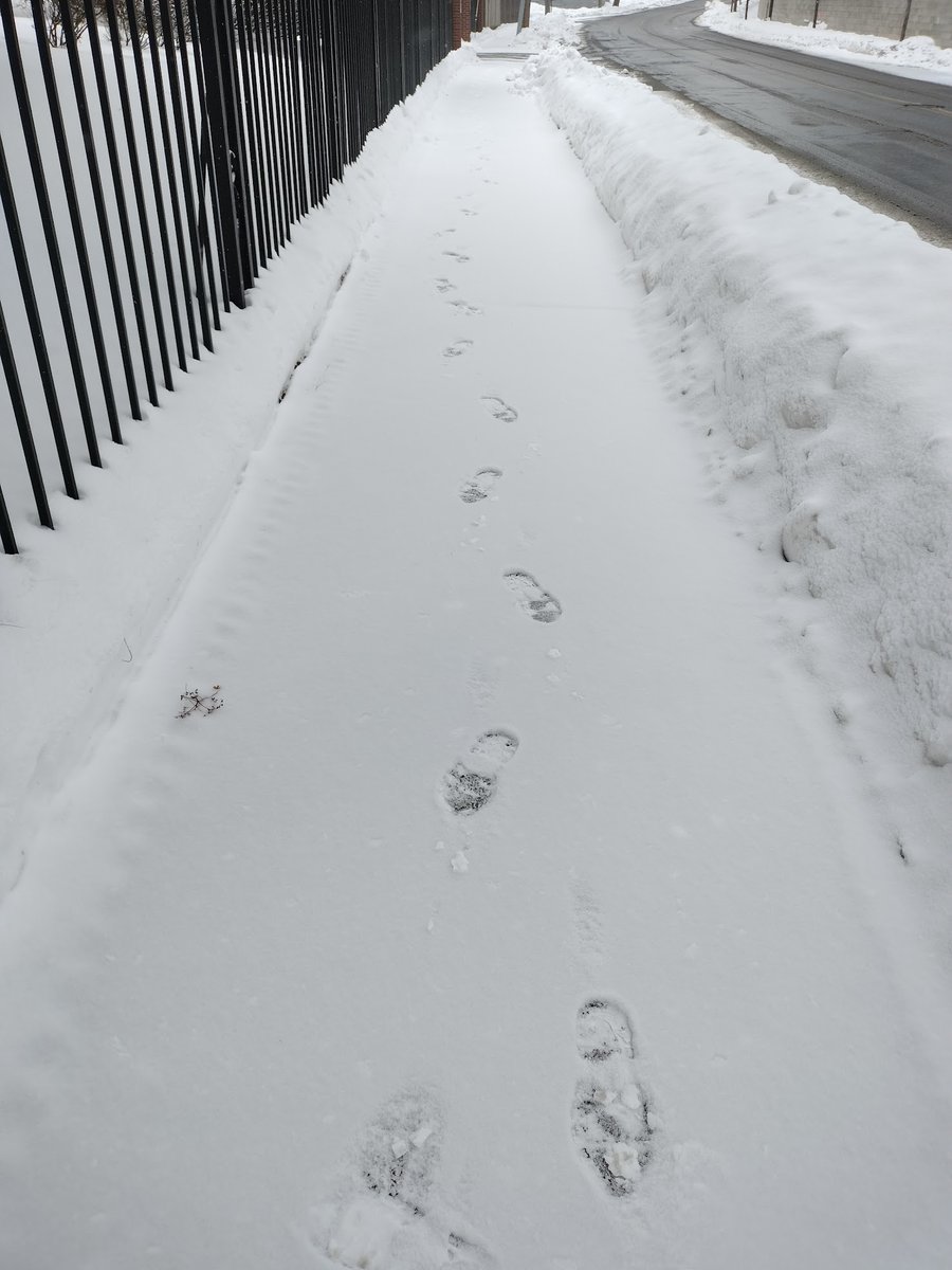 Diego Puppin tweet media