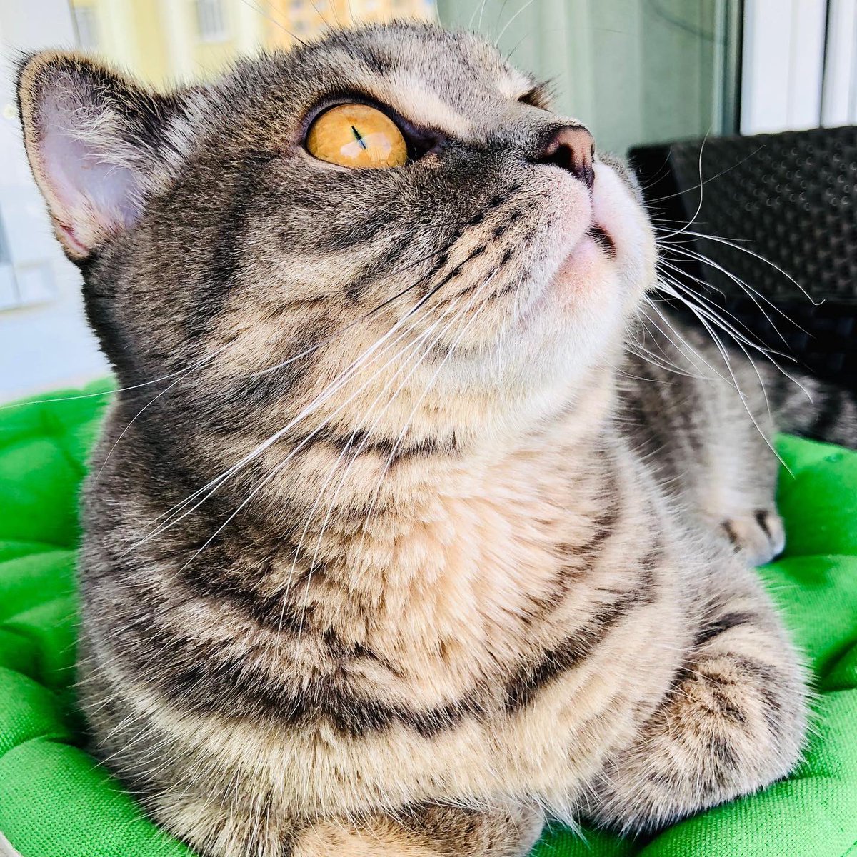 adı niçin mars 🧿🤍🪽