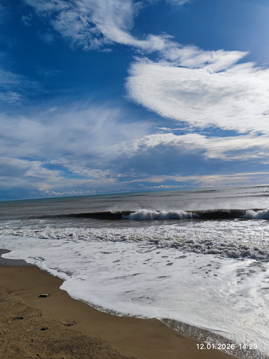 Tabiat bilan yolg'iz qolib,toza havoda  hayol surish mazzada)