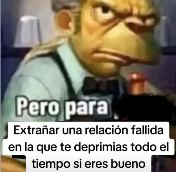 Nestea (amo a Soda) (@momogatitos) on Twitter photo 