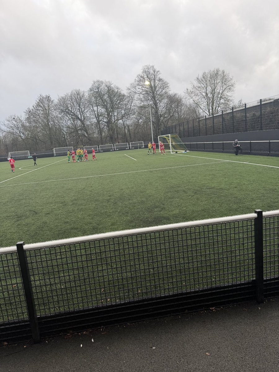 Shepps 🐝 tweet media