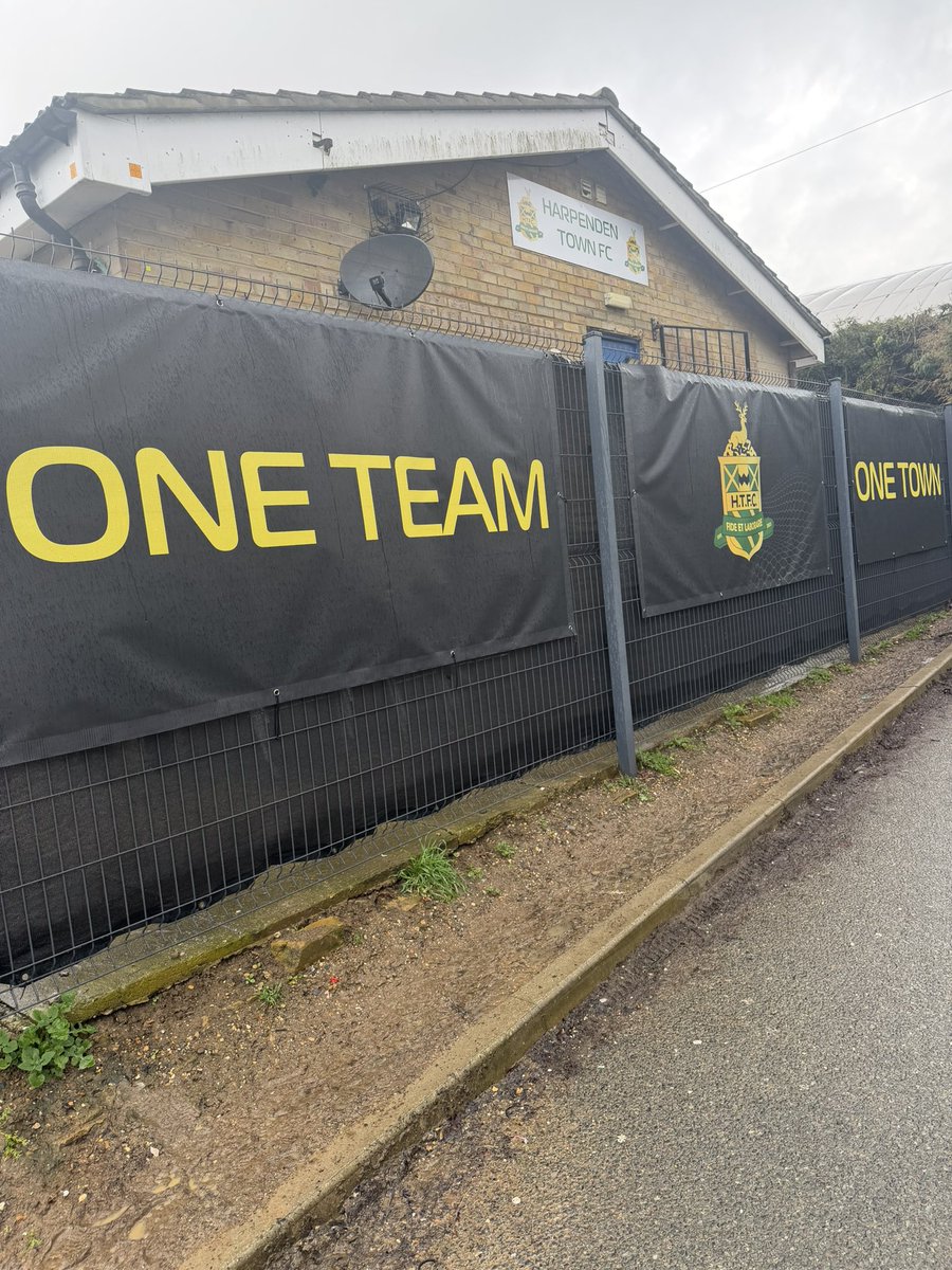 Shepps 🐝 tweet media