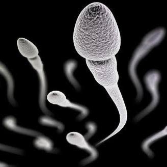 Cultination tweet media