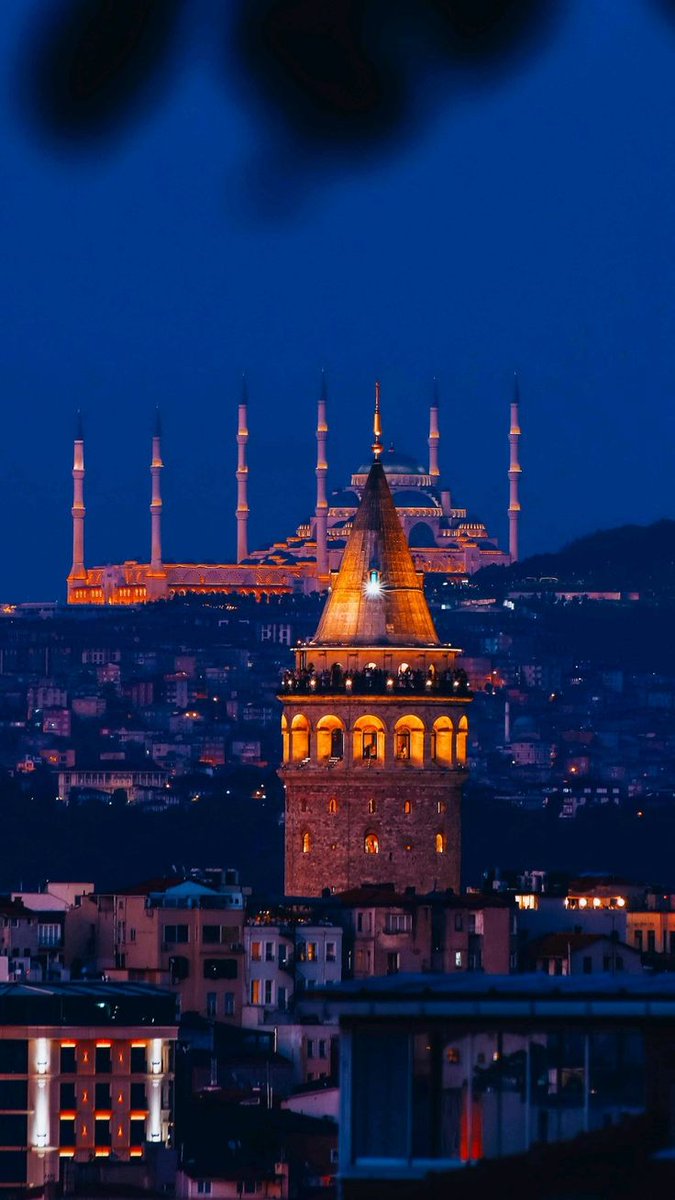 Zeraf000's tweet image. 🌙 Good Night ✨

“Sleep with a peaceful mind, knowing that every effort is seen and every prayer is heard.”

#GoodNightVibes #PositiveThoughts #GratefulHeart #PeacefulMind #HopefulTomorrow #RestWell #GoodNight 🌙