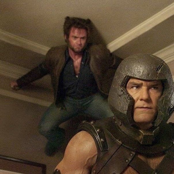 loganascats's tweet image. 