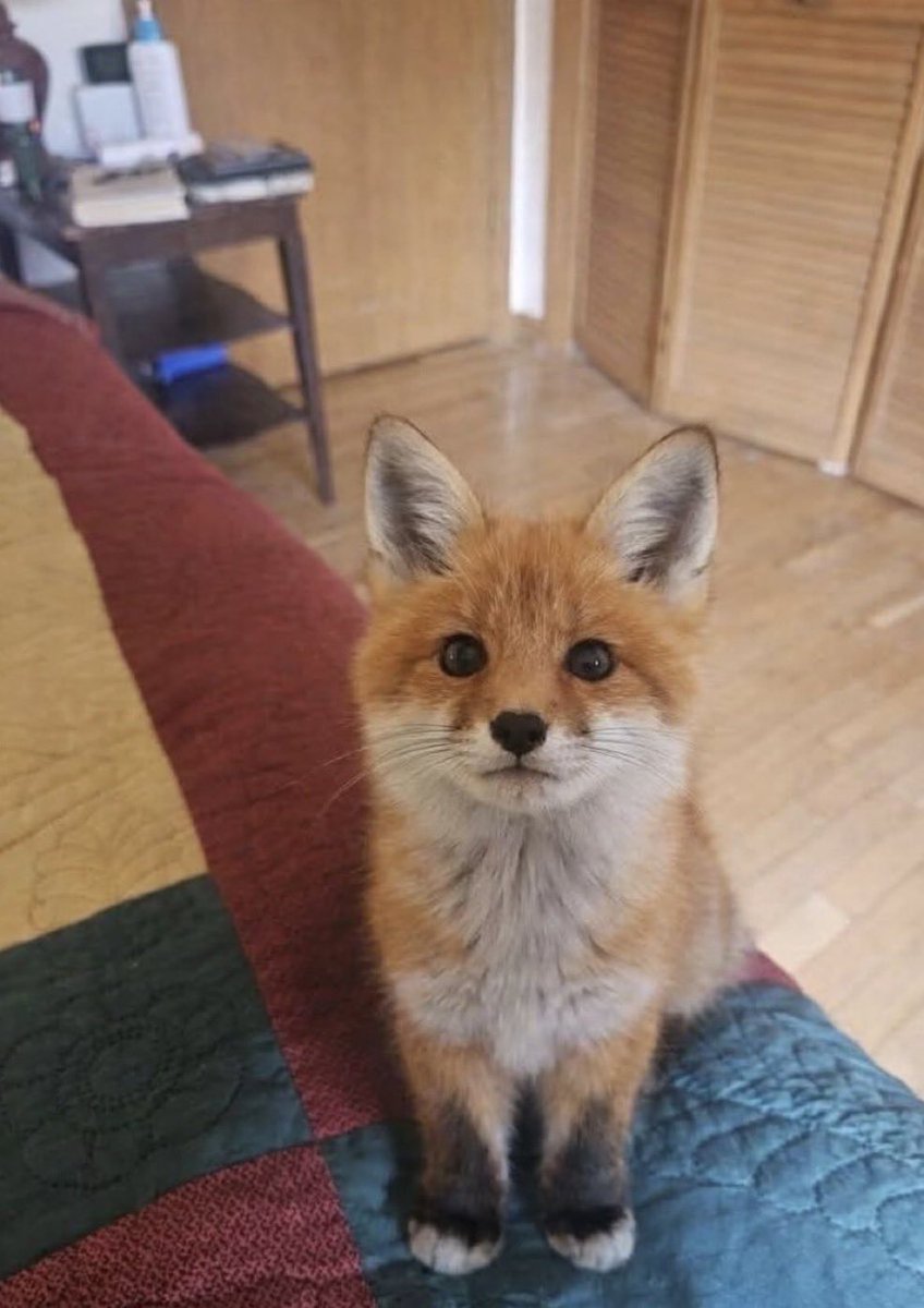 너무 기특해 ㅜㅜㅜ 결국 다 잘될거야 열심히 하는 만큼 다 돌아올거야 아무도 안보는거 같아도 다 알고있고 느끼고있어 니가 오늘 얼마나 많은 소녀들을 뿌듯하게 했는지 알까?