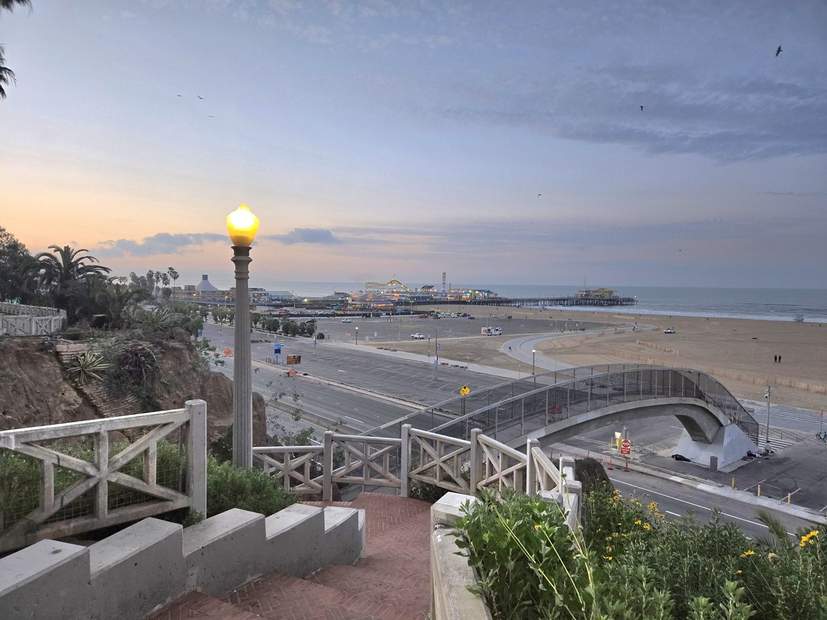 Daniel Williams tweet media