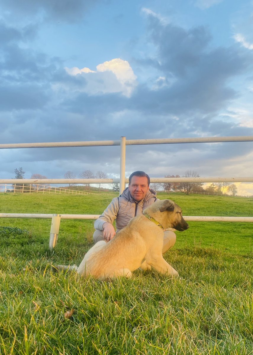 Huzura erdik yine <a href="/ozarar_haras/">ÖZARAR 🐎HARASI💯</a> 🙏🙏🙏