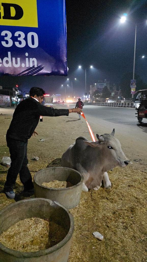 MVSNGO's tweet photo. जय गौ माता की 🙏🚩
गौवंश सुरक्षा अभियान | MVS FOUNDATION TRUST
गौवंशों को सड़क दुर्घटनाओं से बचाने के उद्देश्य से
MVS Foundation Trust द्वारा गौवंश सुरक्षा अभियान के अंतर्गत हज़ारों गौवंशों के गले में रेडियम सेफ़्टी बेल्ट बांधी गईं 🙏
🙏 जय गौ माता 🚩 सेवा ही धर्म है #JaiGauMata https://t.co/I6Nxmpu620