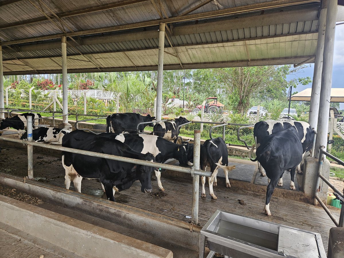 Frank K Tumwebaze,MP: Isaiah 41: 11 tweet media