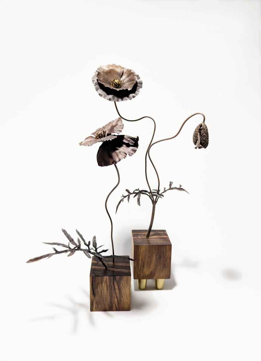 lie_oflie's tweet photo. "Poppy"  
brass, copper, silver, gold/ 
metalsmithing, repoussé and chasing/ 
zebrawood/  
metal sculpture 2026 https://t.co/4O5FqC2jsb