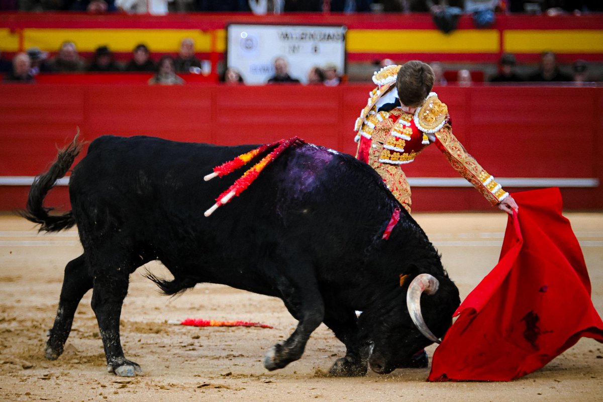 1️⃣ | Oreja para Borja Jiménez del primero de la tarde. Ovación en arrastre al de El Capea.